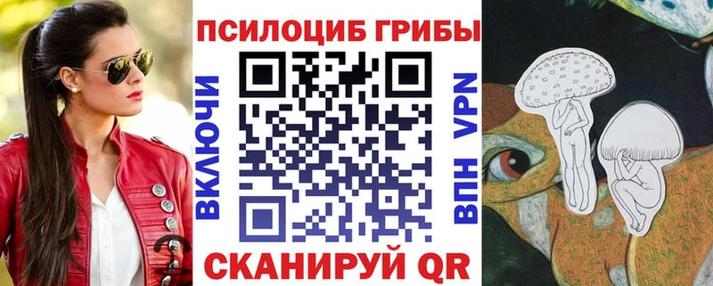 купить наркотик  Кириши  OMG ONION  Псилоцибиновые грибы прущие грибы 